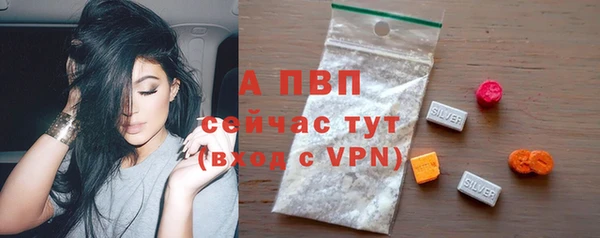 гидра Белоозёрский