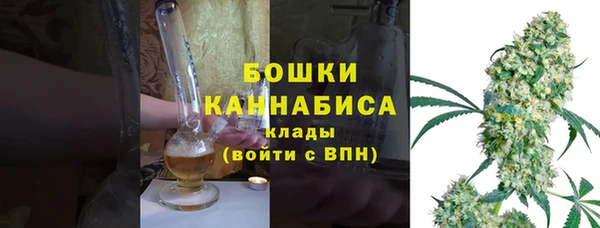 гидра Белоозёрский
