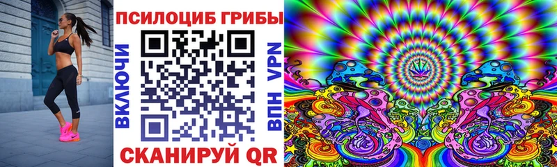 Псилоцибиновые грибы Psilocybe  Реж 